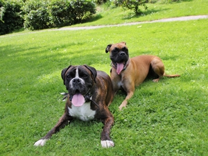 Asco und Selly
